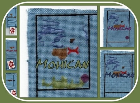 mohican_saljanv21_col2