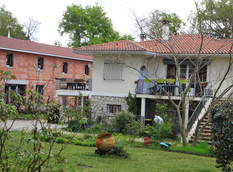 DSC03165