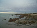 Stromatolithes_05