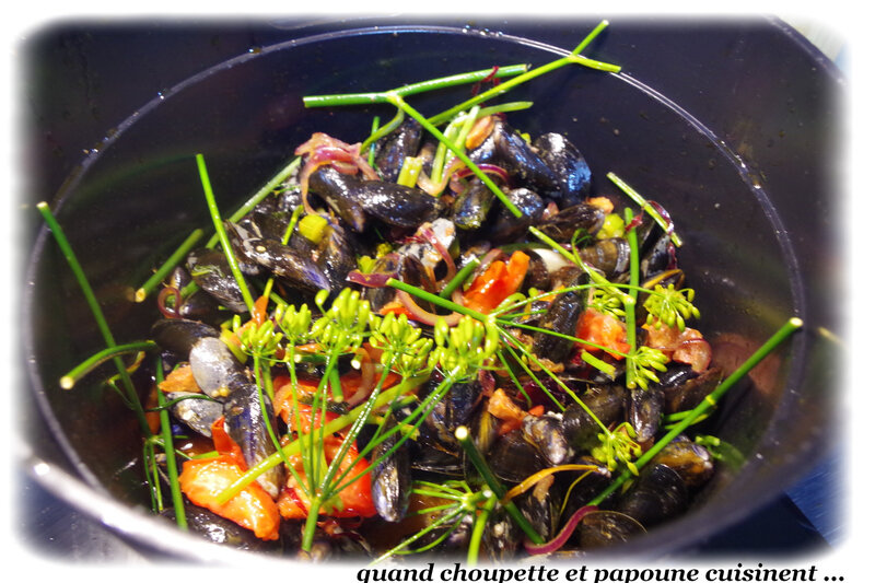 moules au chorizo façon papoune-4312