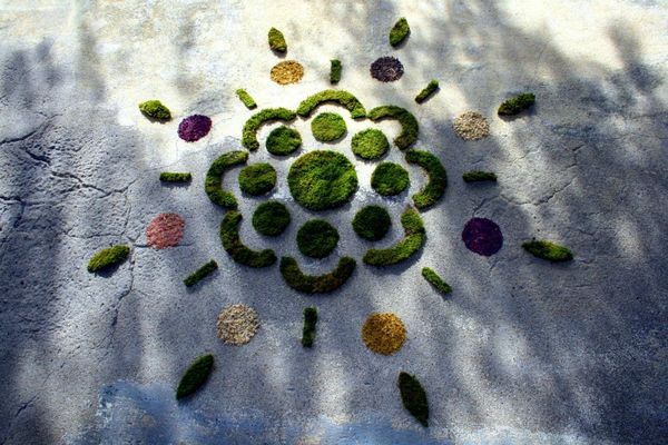 2012Mai Perpignan Fête de la Nature Montlaur atelier mur vegetal1