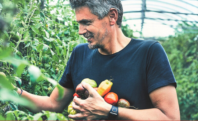 Couv Tomate