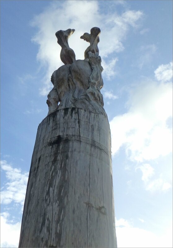 Martinique J1 à 5 stylus 43 art moderne personnage envers Piquet