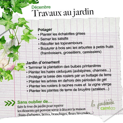 travaux-jardin-decembre-potager-jardin-ornement