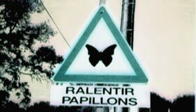 Papillons9