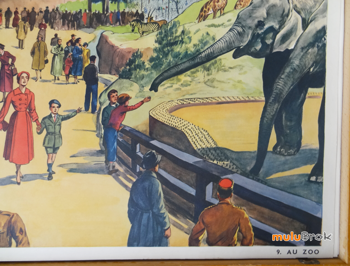 Affiche-LE-STADE-AU-ZOO-12-muluBrok