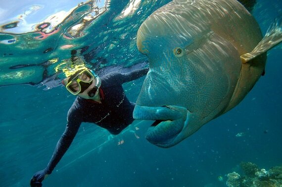 18_10_13_wj_fotopedia_greatbarriereef