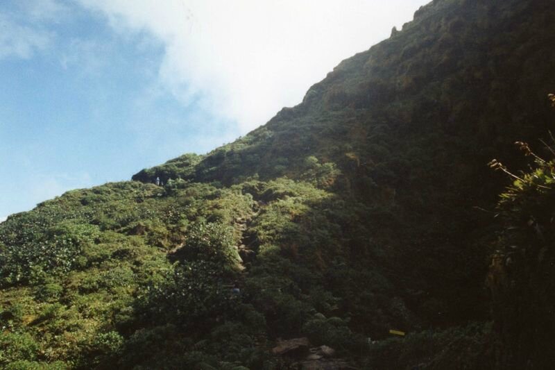GWAD_037