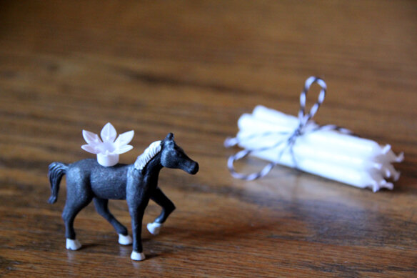 anniversaire_cheval