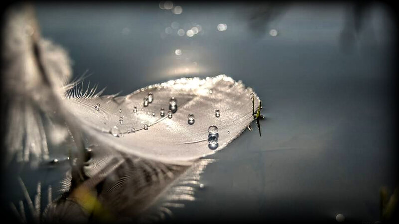 PLUME3,