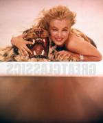 1957-05-06-NY-by_richard_avedon-02-TPATS-sitting_tiger-011-1