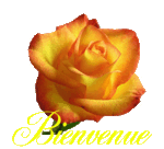 bienvenue_rose_animee