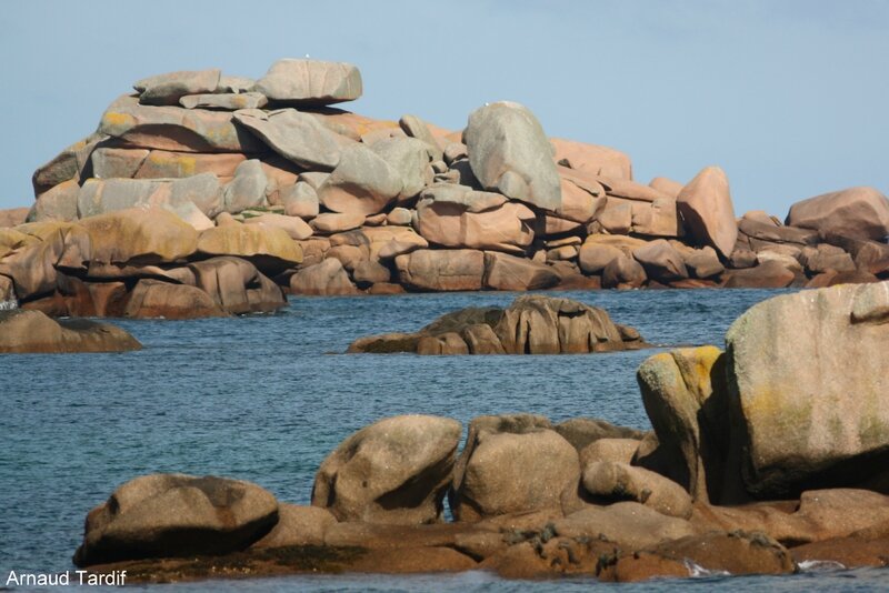 001135 Bretagne - La Côte de Granit Rose à Perros-Guirec blog