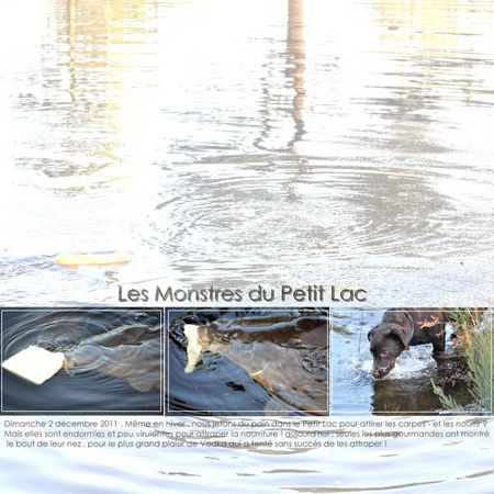 Copie_de_les_montres_du_petit_lac