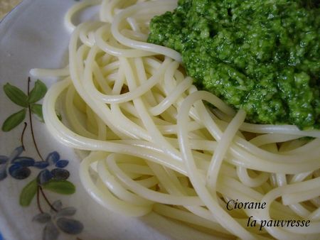 pistou_de_roquette_5