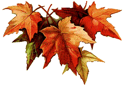 feuilles_d_automne
