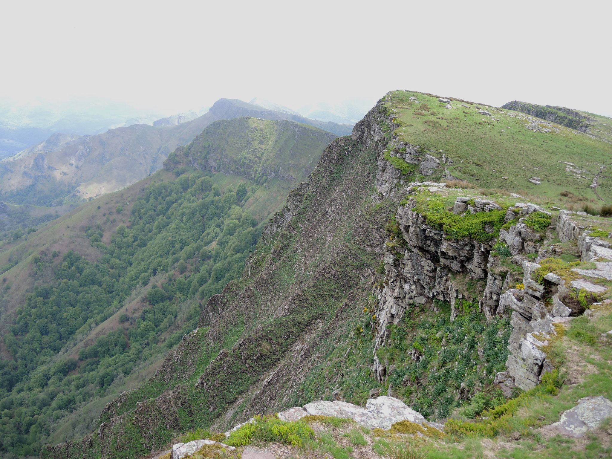 Bidarray, Iparla, le pic, vue sur crètes sud (64)