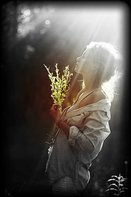 agnes 2,