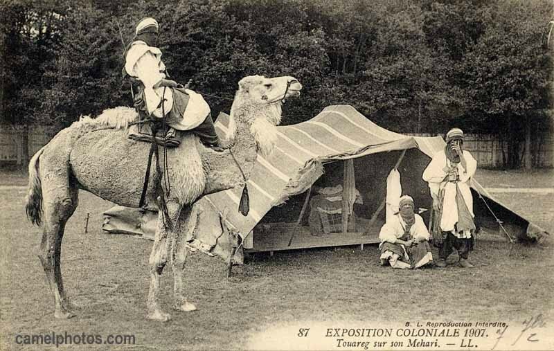 Expo coloniale 1907 touareg