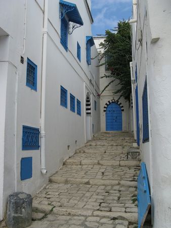 IMG_0351