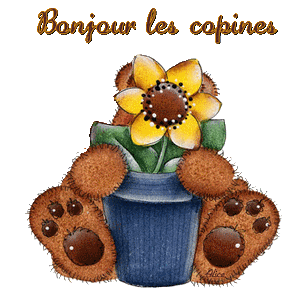 bonjour_les_copines2