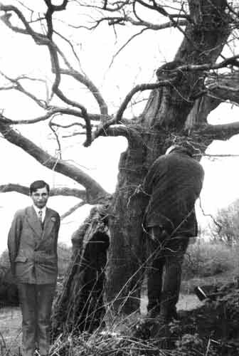armand_robin_arbre_de_lecture[1]