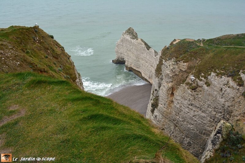 4769-Etretat