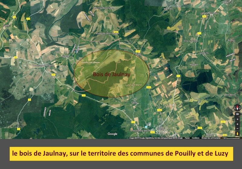 Pouilly, Luzy, bois de Jaulnay, carte légendée
