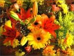Bouquet_ya_fololo