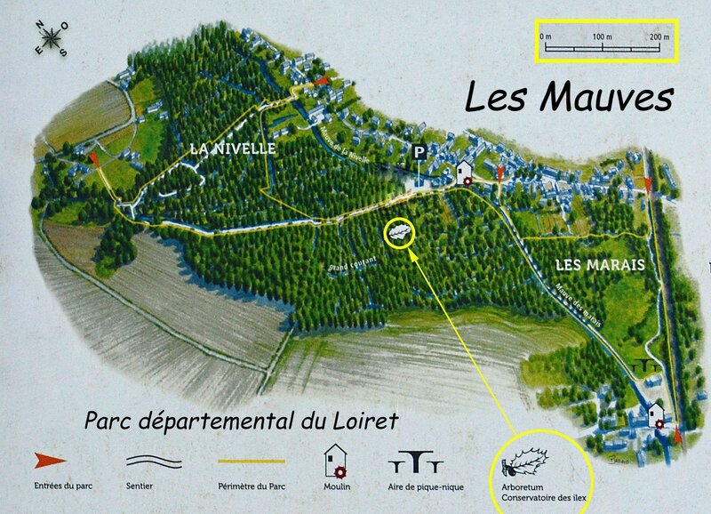 Parc-départemental-du-Loiret-Les-Mauves