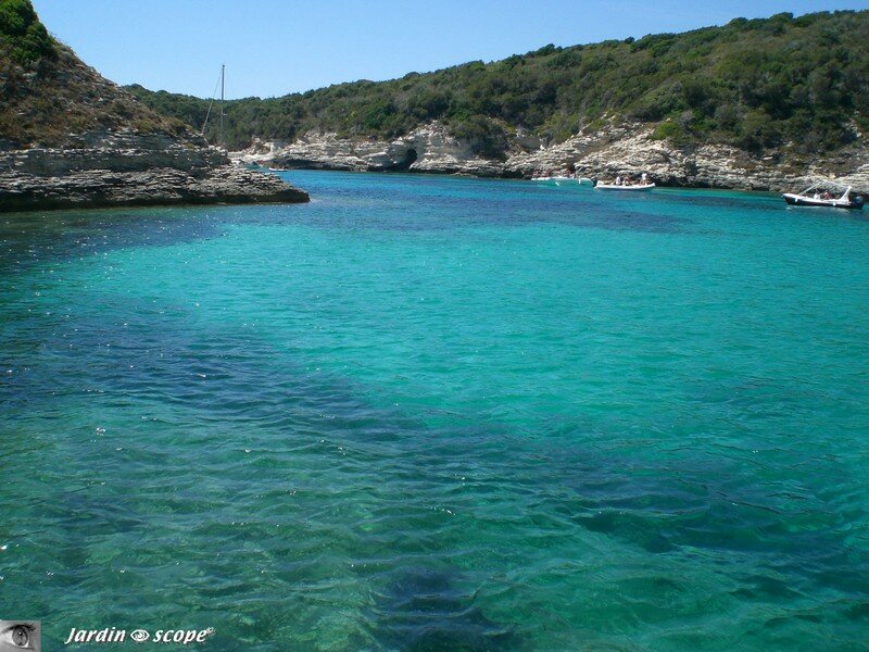Bonifacio - Calanque de Frazzio