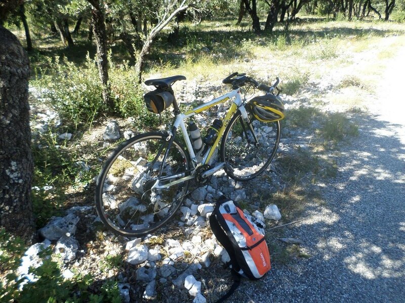 4-route forestière du Siou blanc (24)