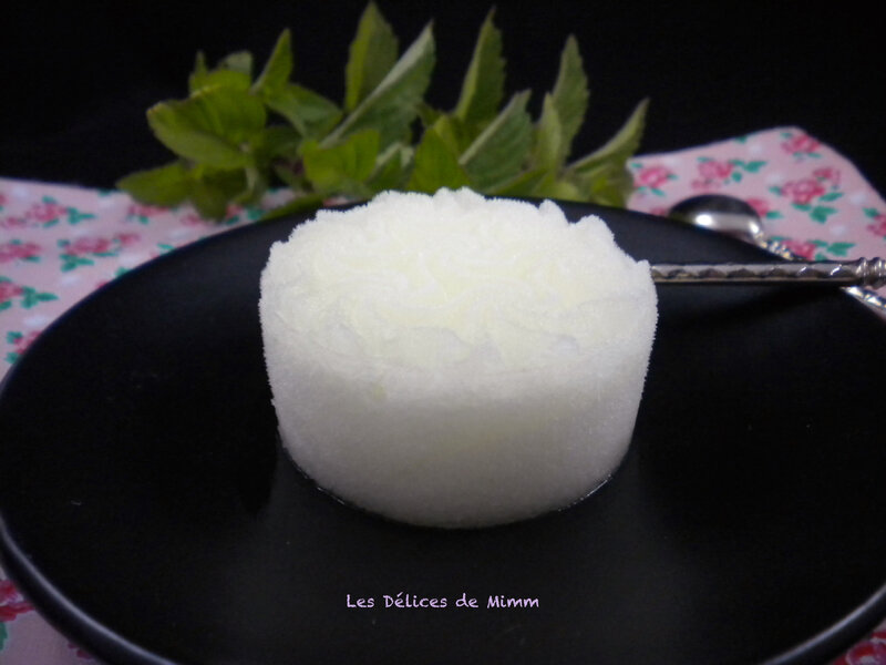 Sorbet mojito 3