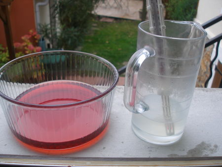 P1010163