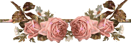 Barre_Roses_rose_3