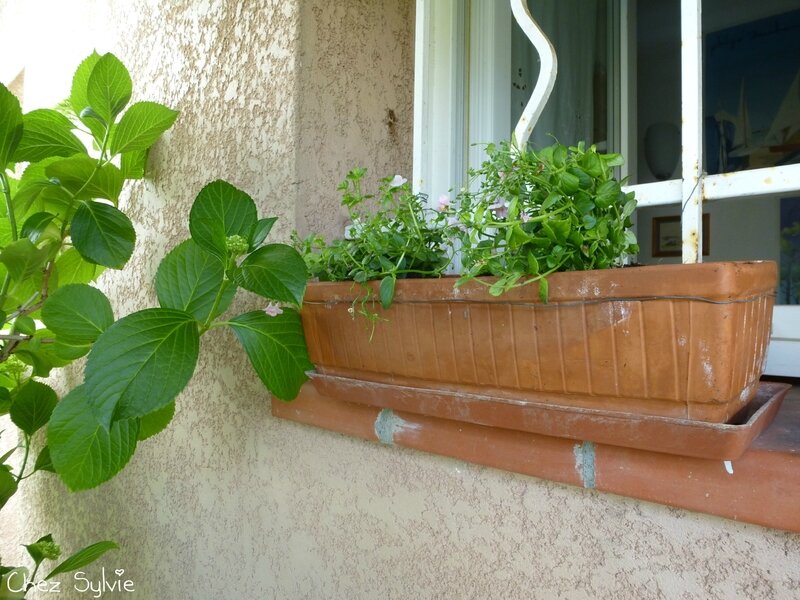 jardinière wc 2017