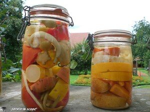 6777_Conserves_fruits