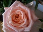 20120605_165536