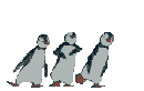 3_pingouins_danse