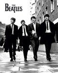 beatles_the_the_beatles_1192706
