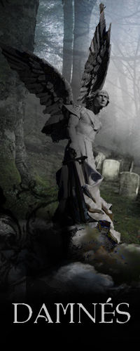 damnes_banniere_200x500_002