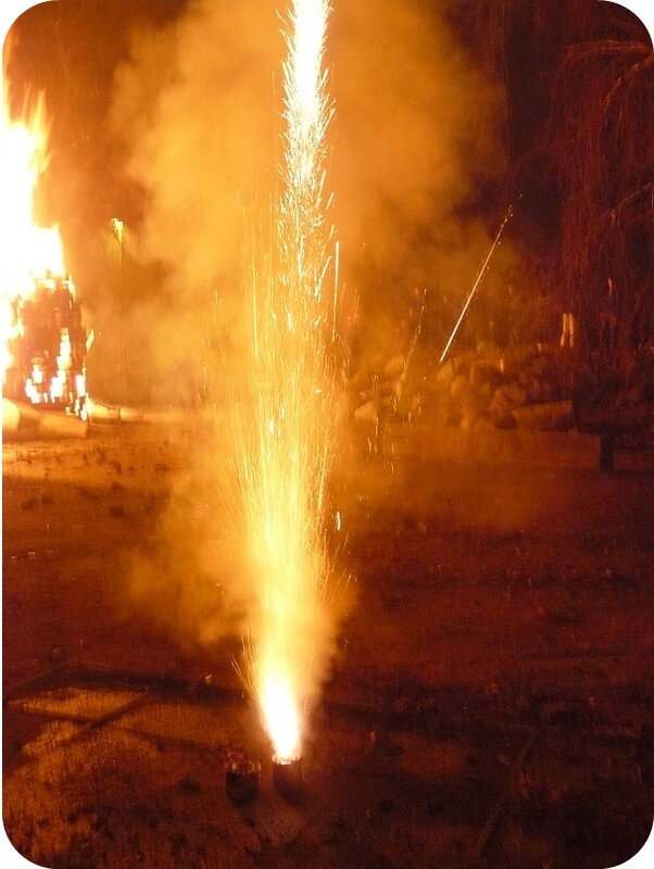 Quartier Drouot - Feu de palettes Nouvel An 28