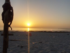 Picturejuli_272