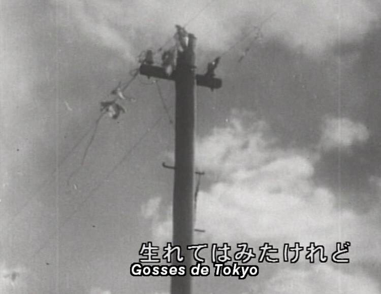 Canalblog Poteaux Electriques27