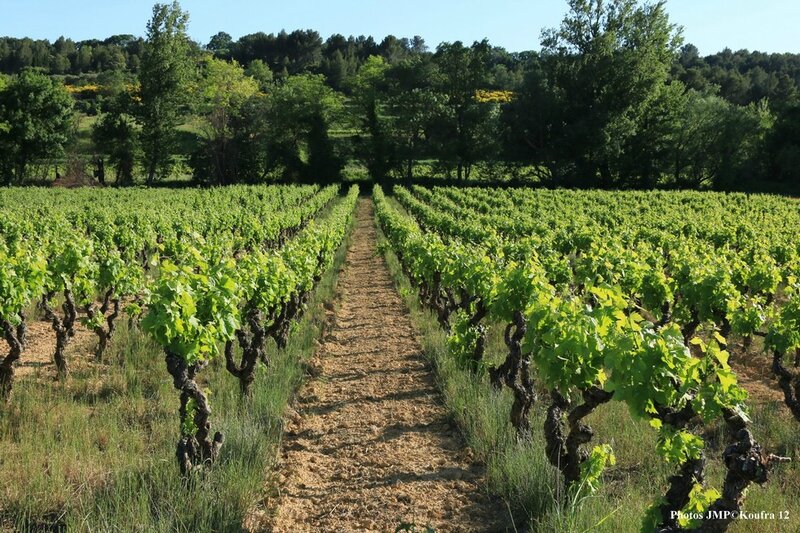 Photos JMP © Koufra12 - St Bauzille - 10 mai 2015 - 00175 - 001