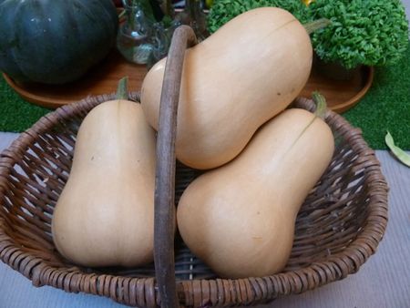 courges butternut (5)