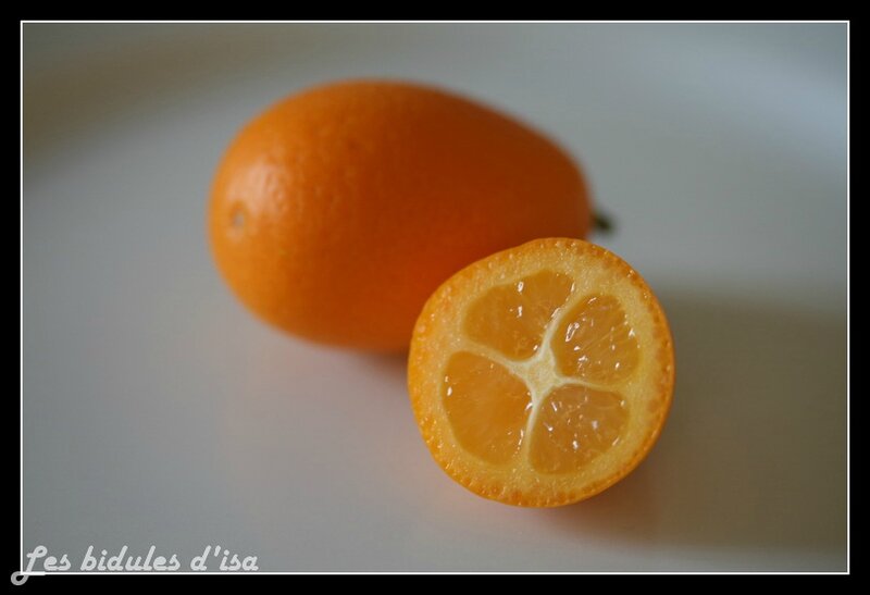 kumquat (2)