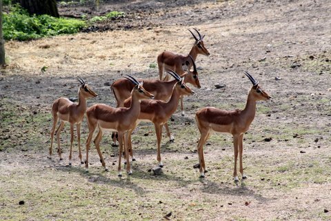 IMG_3330