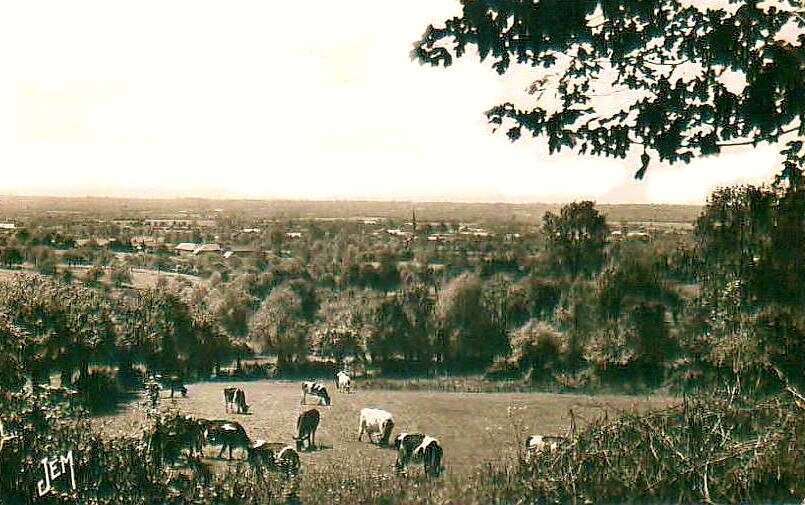 AVESNOIS-Le Bocage