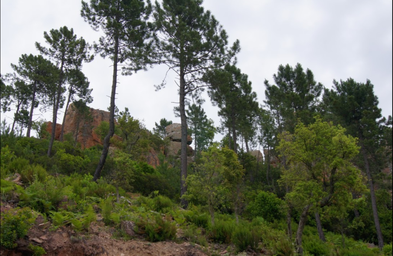 Colle du Rouët